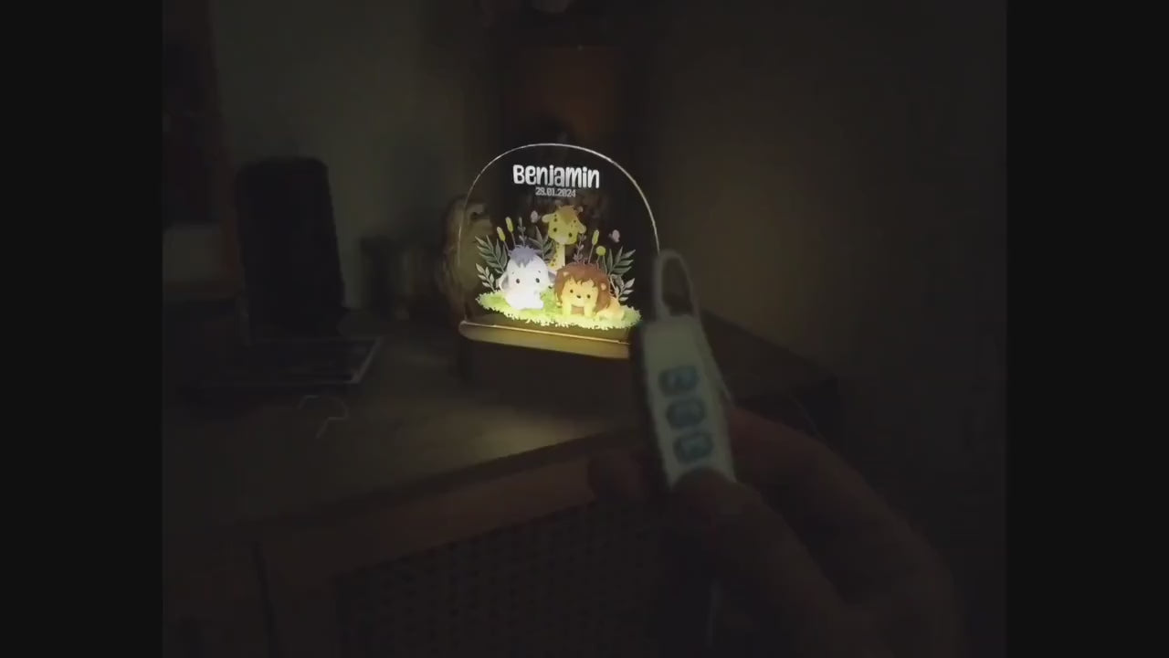Baby Night Light, Cute Animal Night Light, Personalized Night Light, Custom Night Light, Baby Girl Gift, Animal Night Light, Gift For Kids